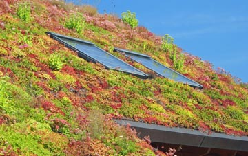 Hollowell living roof systems